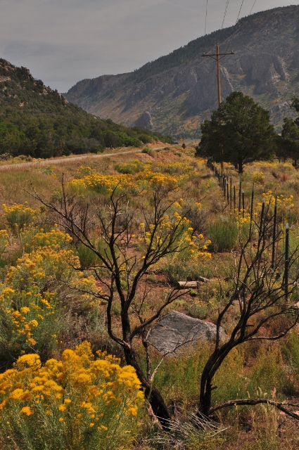 the fall colors along Highway 141